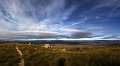 painter pano 1